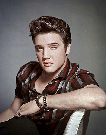 ƥ  Elvis Portrait EP-DE-MS2433
