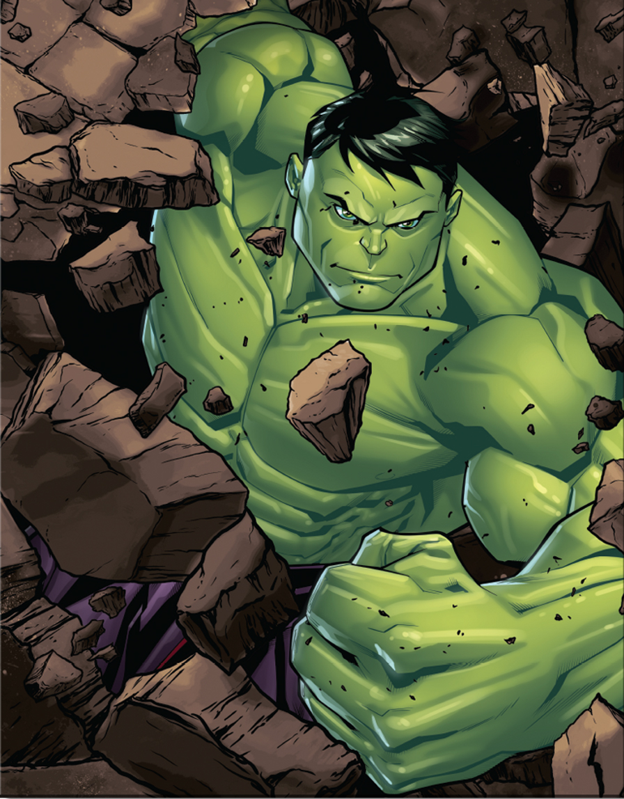 ƥ  Hulk Rendered DE-MS2738