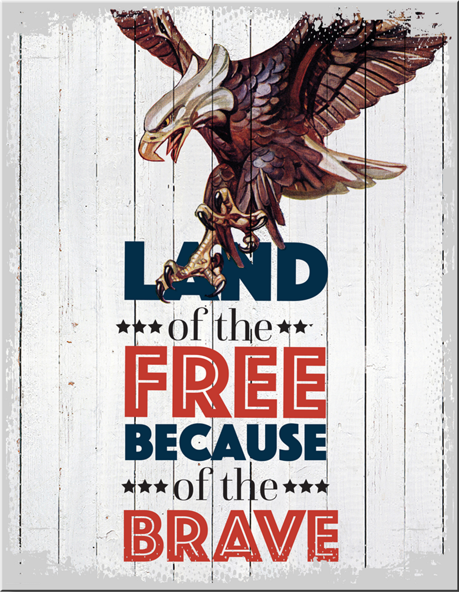 ƥ  Land of Free Eagle DE-MS2802