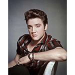 ƥ  Elvis Portrait EP-DE-MS2433