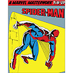 ƥ  Spider Man DE-MS2748