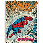 ƥ  Spider Man Ftanng DE-MS2750