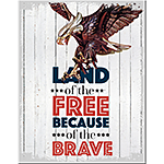ƥ  Land of Free Eagle DE-MS2802