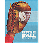 ƥ  Baseball Is Life DE-MS2805