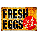ƥ  Eggs Laid Daily PT-RPC-077