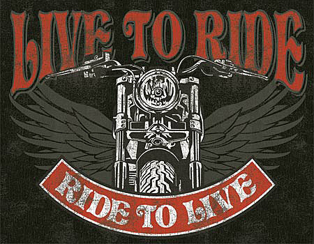 ƥ  LIVE TO RIDE-BIKE DE-MS2100ƥ  LIVE TO RIDE-BIKE DE-MS2100