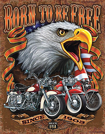 ƥ  Born Free DE-MS2451ƥ  Born Free DE-MS2451