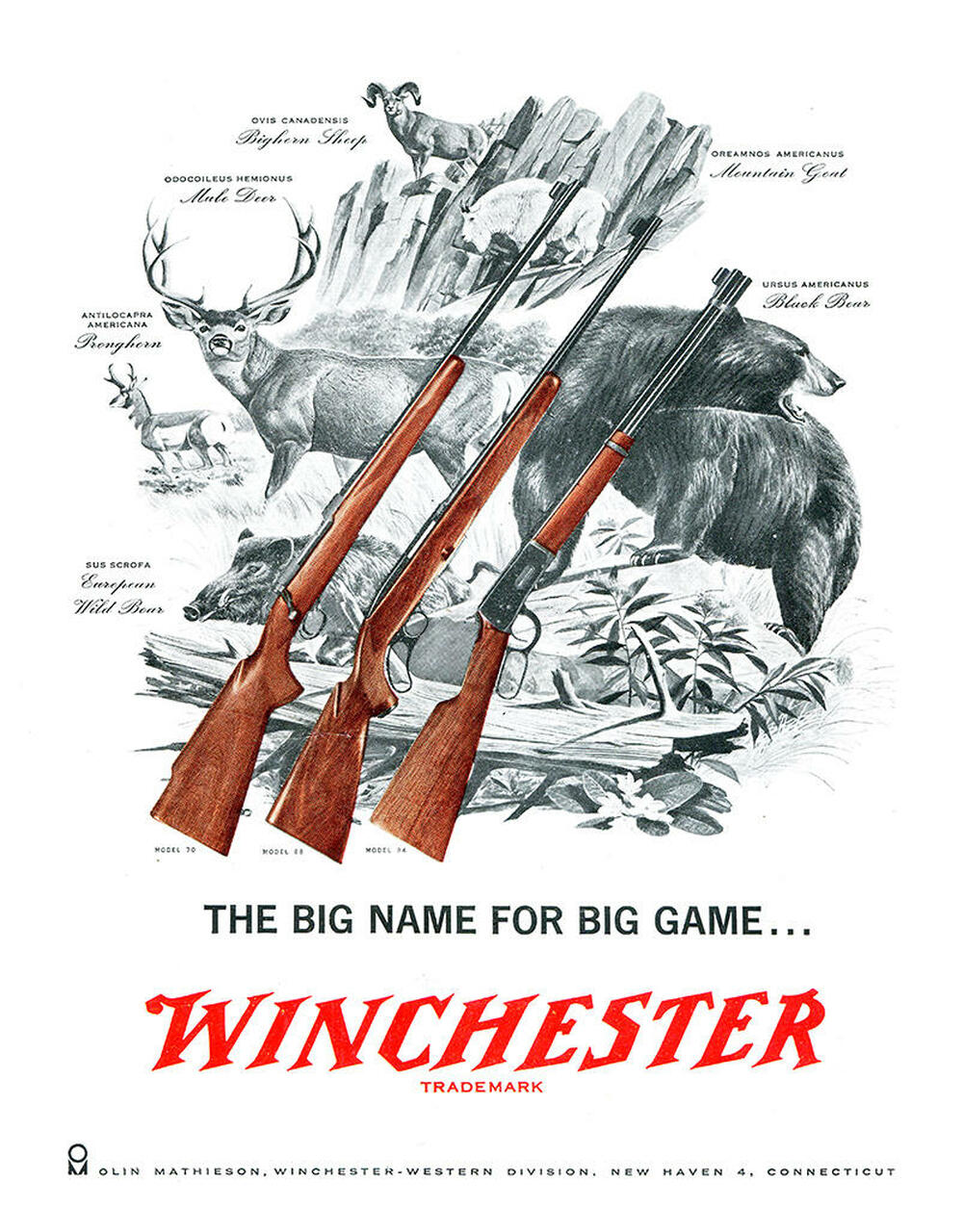 ƥ  Winchester Big Game DE-MS2561