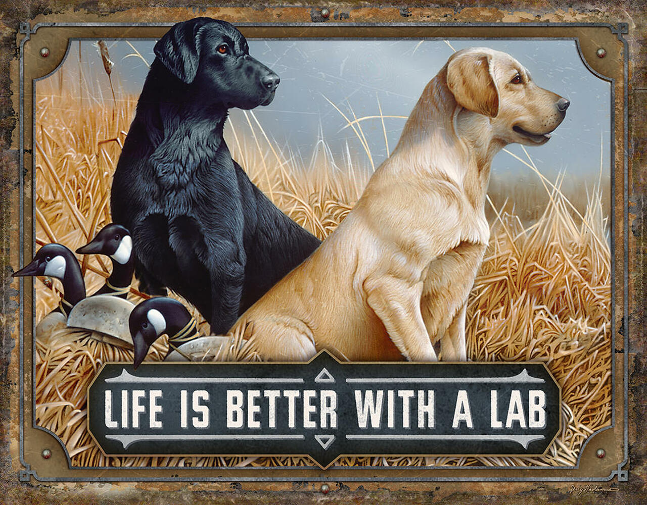 ƥ  Better with a lab DE-MS2568