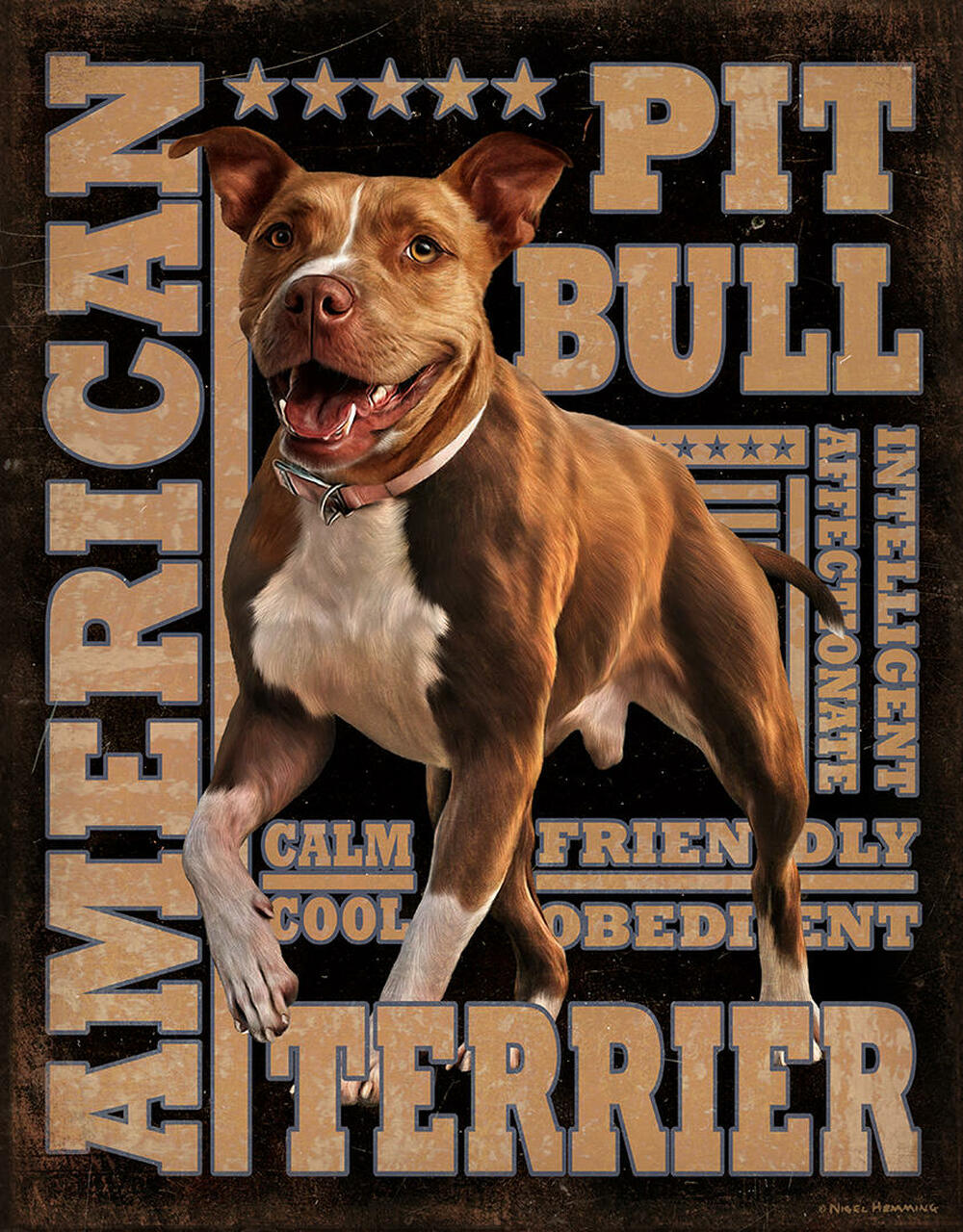 ƥ  American Pitbull DE-MS2574