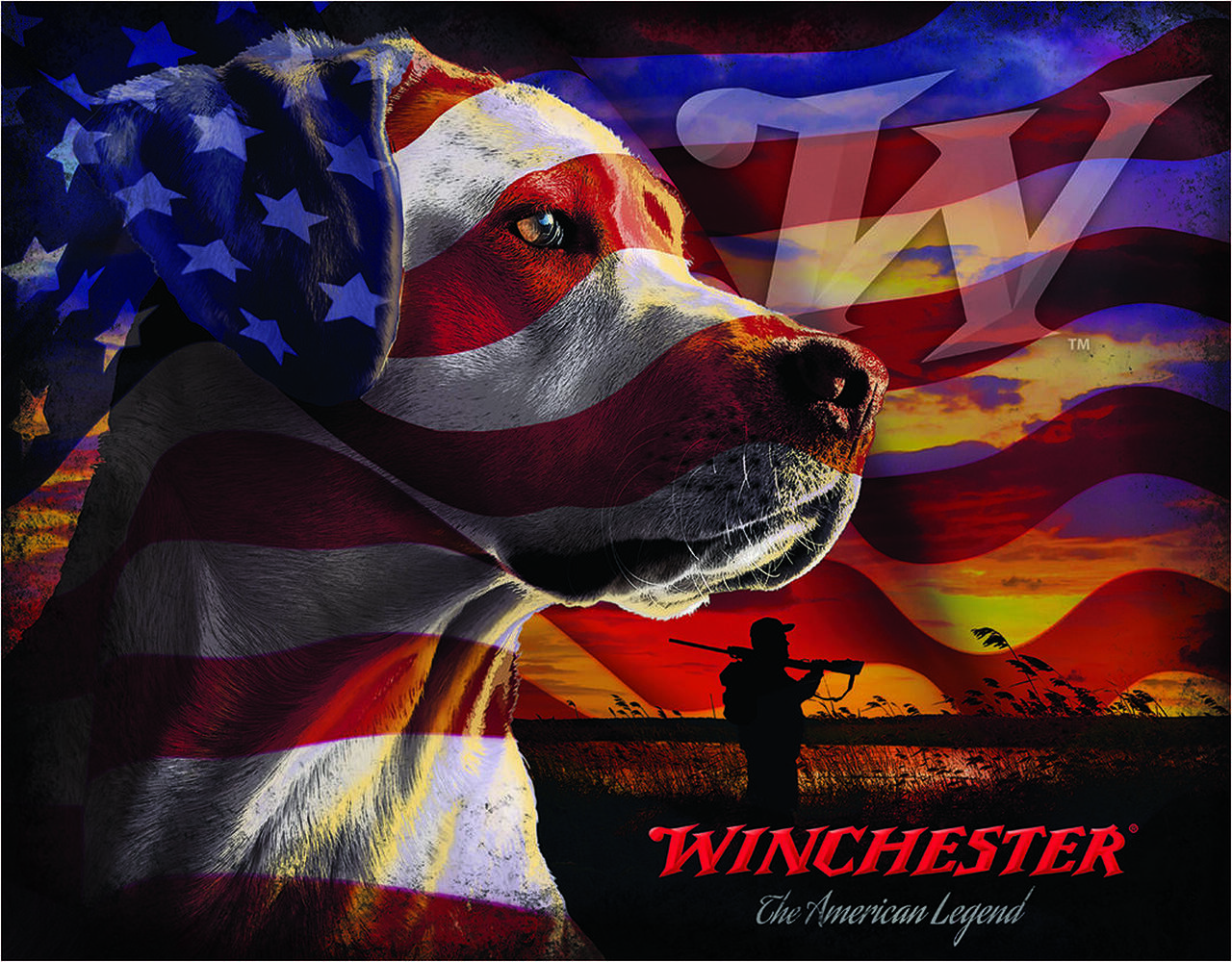ƥ  Winchester Dog DE-MS2584ƥ  Winchester Dog DE-MS2584