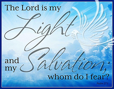 ƥ  Light  Salvation DE-MS2437