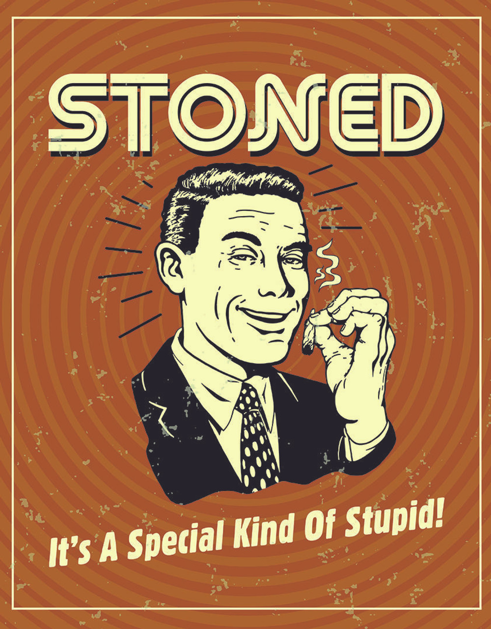 ƥ  Special Kind of Stupid DE-MS2589