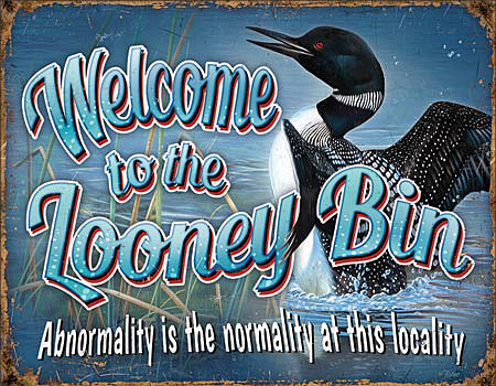 ƥ  Looney Bin DE-MS2250
