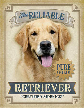 ƥ  Reliable Retriever DE-MS2262