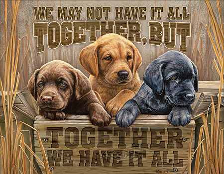 ƥ  We Have It All DE-MS2325