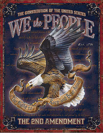 ƥ  WE THE PEOPLE 2ND AMENDMENT DE-MS1992