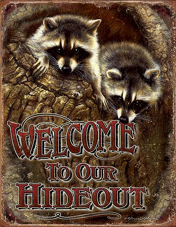 ƥ  WELCOME OUR HIDEOUT DE-MS1948