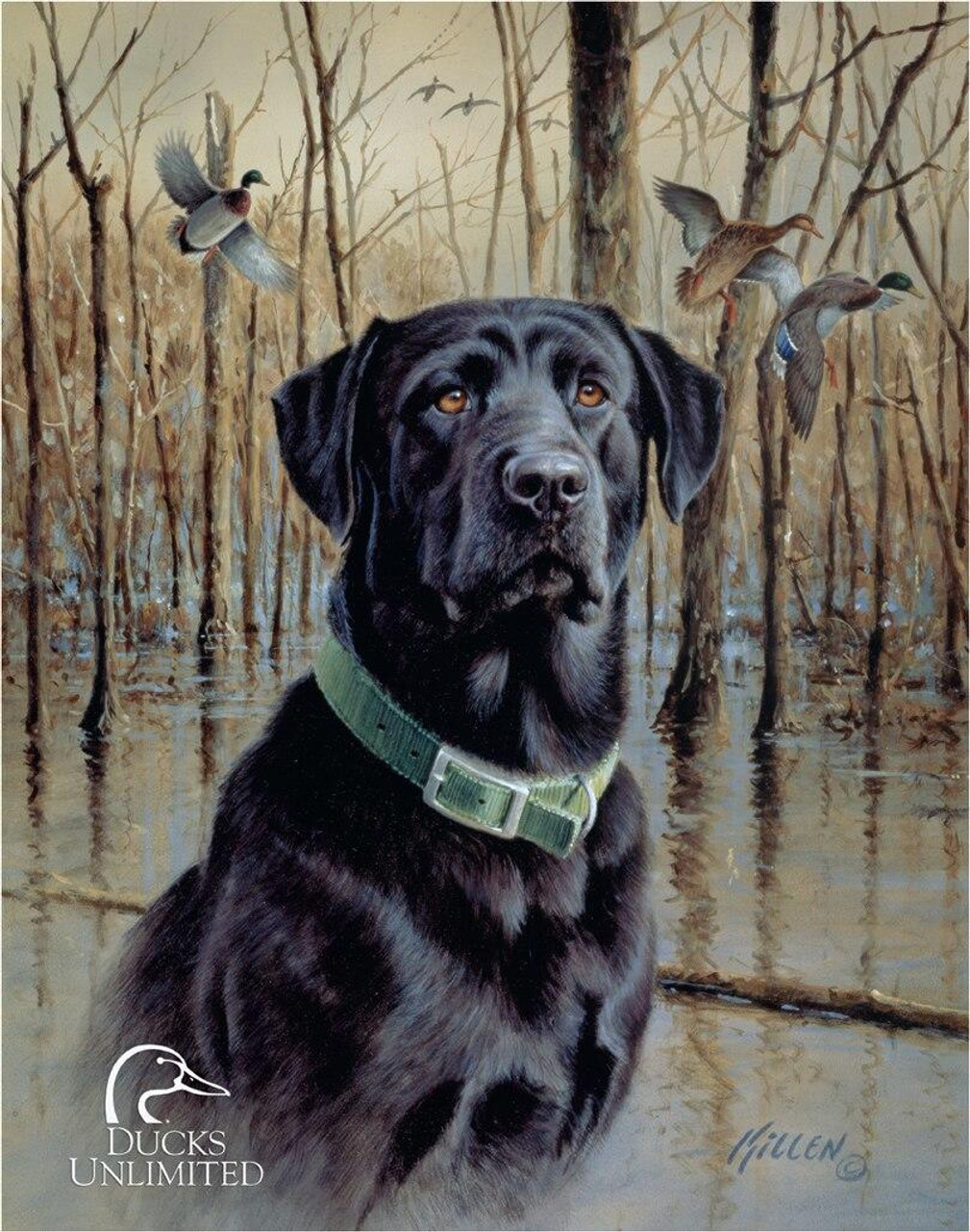 ƥ  DU GREAT RETRIEVERS DE-MS1203