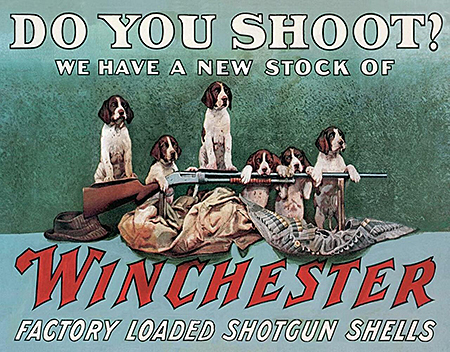 ƥ  Winchester Shoot DE-MS2442ƥ  Winchester Shoot DE-MS2442
