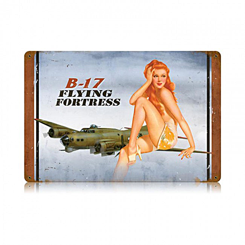 ƥ  B-17 redhead PT-V-540ƥ  B-17 redhead PT-V-540