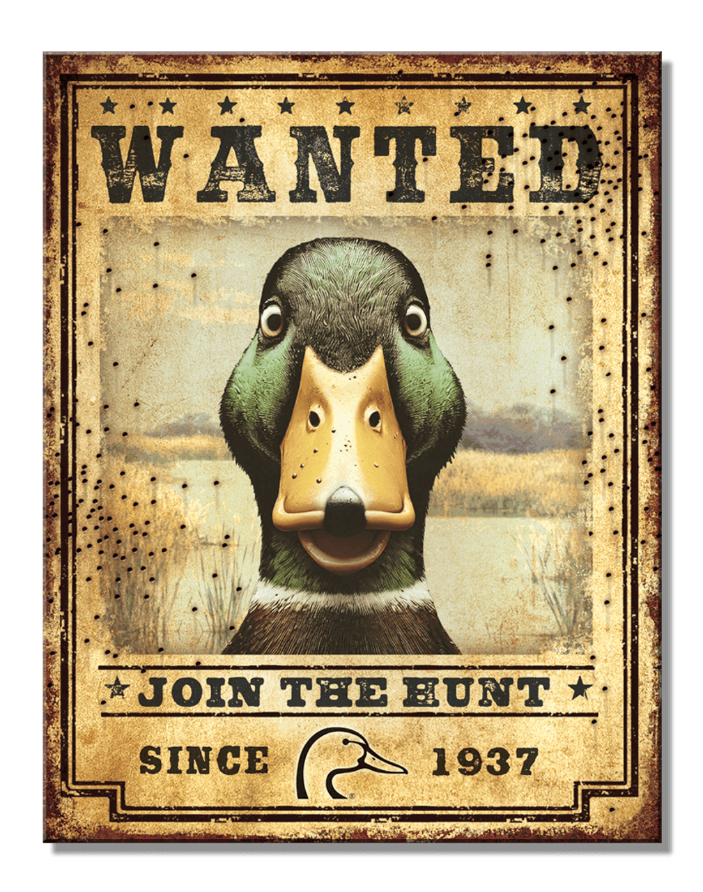 ƥ  DU - Duck Wanted DE-MS2957