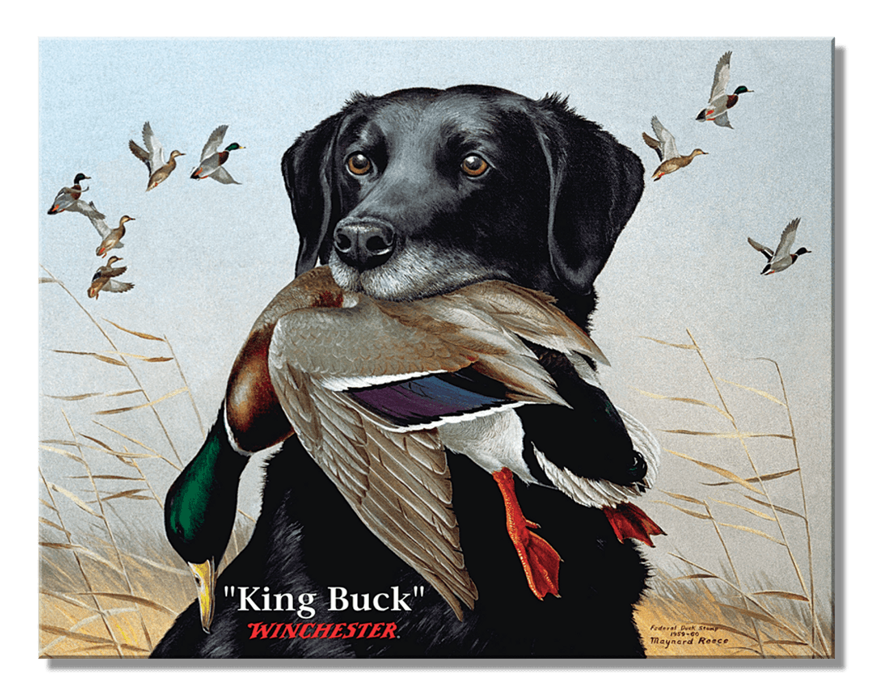 ƥ  Winchester King Buck DE-MS2981ƥ  Winchester King Buck DE-MS2981