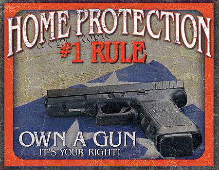 ƥ  HOME PROTECTION-#1 RULE DE-MS2130