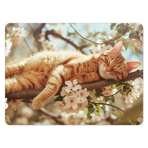 DINERޥåȡ䡡ʡޥåȡCAT-4DINERޥåȡ䡡ʡޥåȡCAT-4