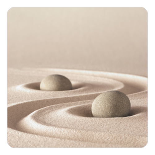 SAKEޥåȡ䡡ZEN-1
