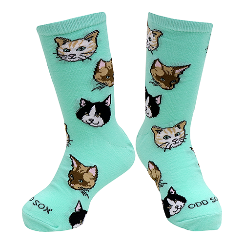 ODD SOXʥå åKIDS CATS