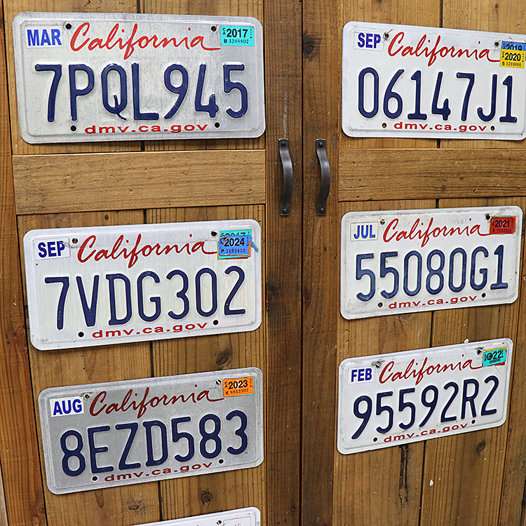 USED�ʥ桼���ɡ� �饤���� �ץ졼�� CALIFORNIA�ʥ���ե���˥��� AP-LP-001