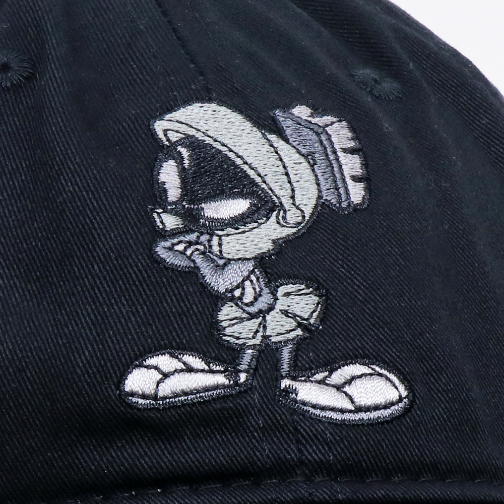 å LOONEY TUNES MARVIN THE MARTIAN SB-CP-CART795 ֥å