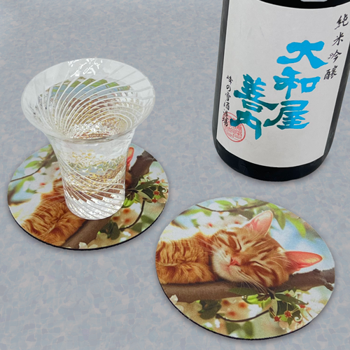 ���С� �����������䡡ǭ ���� �����꡼�ĥ꡼��CAT-2��2�祻�å�