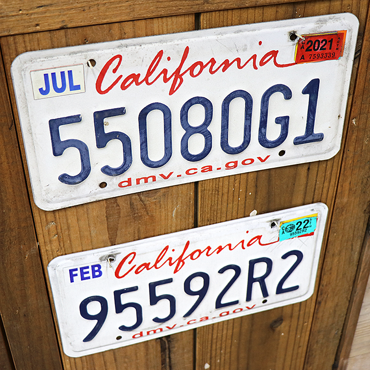 USED�ʥ桼���ɡ� �饤���� �ץ졼�� CALIFORNIA�ʥ���ե���˥��� AP-LP-001