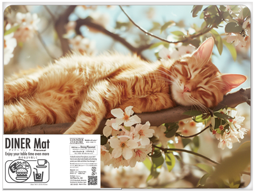 ʡ ޥåȡ䡡̺ ٻΡסʳ