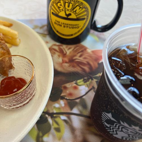 ������ʡ� �ޥåȡ䡡ǭ ���� �����꡼�ĥ꡼��CAT-2