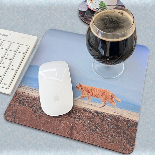 ��SAKE�ޥåȡ䡡����ʤ����Τ��ޡˤ�ǭ��CAT-1