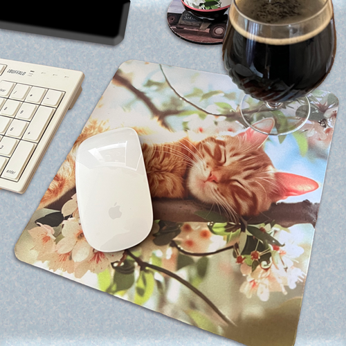 ��SAKE�ޥåȡ䡡ǭ ���� �����꡼�ĥ꡼��CAT-2