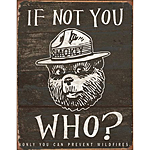 ƥ  SMOKEY BEAR IF NOT DE-MS1878