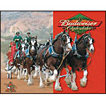 ƥ  BUDWEISER CLYDESDALES DE-MS1281