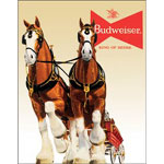 ƥ  BUD CLYDESDALE TEAM DE-MS1631