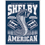 ƥ  Shelby-Unbridled DE-MS2372