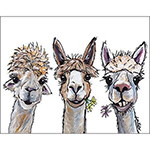 ƥ  Alpaca Trio DE-MS2416