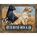 ƥ  Better with a lab DE-MS2568