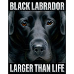 ƥ  Larger Than Life Lab DE-MS2575