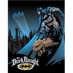 ƥ  BATMAN THE DARK KNIGHT DE-MS1356