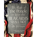 ƥ  2nd Amendment Right DE-MS2364