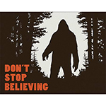 ƥ  DON'T STOP BELIEVING DE-MS2195