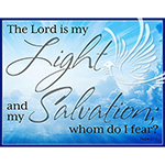 ƥ  Light  Salvation DE-MS2437